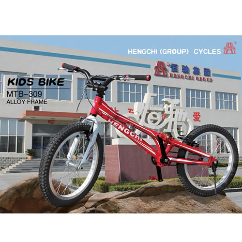 KIDS  BIKE   BMX -309